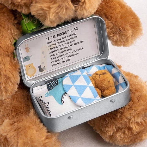 Drfeify mini boîte d'ours en peluche Drfeify Petit ours de poche dans une boîte de conserve Mini Drfeify mini boîte d'ours en peluche Drfeify Petit ours de poche dans une boîte de conserve Mini