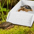 thumbnail image 3 of LNGOOR Tortoise Food Dish Reptile Water Food Bowls with Anti-Slip Ramp Reptile Water Dish Reusable Turtle Reptile Pool Tortoise Habitat Accessories for Turtles Horned Frogs and Lizards 36, 3 of 10
