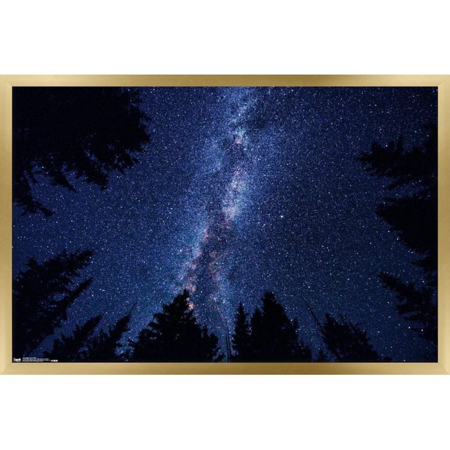 Affiche Murale Voie Lactée la Nuit, 14,725 Pouces x 22,375 Pouces Encadrée Montre la Galaxie de la Voie Lactée Verticalement à Travers un Ciel Nocturne Étoilé Bleu Foncé avec des silhouettes de Pin Noir sur les Bords, Encadrée dans un Cadre en Bois Clair avec une Finition Satinée. Convient à la Déco de la Maison, Cette Affiche Encadrée Est Légère et Facile à Accrocher, Est Souvent Utilisée pour Décorer des Chambres, des Bureaux Ou des Résidences Étudiantes.