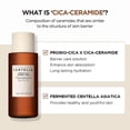 thumbnail image 4 of SKIN1004 , Tonique Essence Probio-Cica à la Centella de Madagascar, 7,10 fl oz (210 ml), 4 of 5