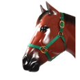 thumbnail image 1 of Valhoma 1990-BK-M T Black Halter - 800-1100 lbs - Medium, 1 of 1