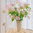 thumbnail image 1 of GSDWIUEW Bulbes de Rothschildiana Gloriosa (Lys de Feu/lys en Flammes) - Vigne Grimpante Exotique Fleur 8 Pcs / 20 Pcs Floraisons Rouges et Jaunes Vibrantes pour Jardin et Contenants (Rose,8), 1 of 6