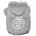 thumbnail image 1 of Teachers Pet Screen Print Pet Hoodies Grey Size Xxl (18), 1 of 1