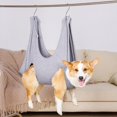 thumbnail image 1 of Serviette Hamac Assistant de Beauté pour Ongles de Chat Chien, 1 of 7