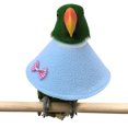 thumbnail image 2 of Pet Bird Collar Adjustable Recycling Collar Decoration to Prevent Biting Parrot Birds, 2 of 5