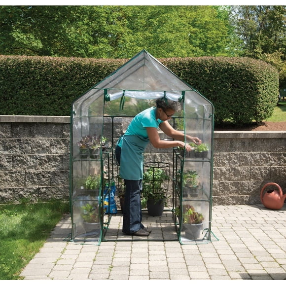 Miracle-Gro Mini Greenhouse 4' 8" x 4' 8" x 6' 5"