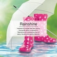thumbnail image 3 of LITTLE TREES air freshener Rainshine 3-Pack, 3 of 8