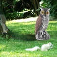 thumbnail image 4 of Realistic Away Owls Statue Bird Deterrent Owl Decoy Fake, 4 of 8