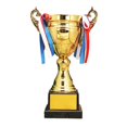 thumbnail image 2 of Prix Trophée Prix avec Récompenses de Base Trophée Gagnant Gobelet Trophée pour École Fête 30 cm, 2 of 8