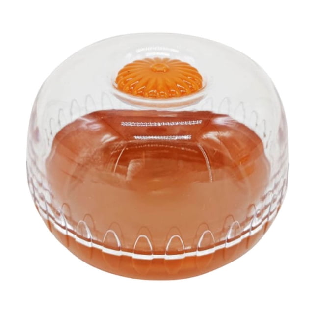Birdeem Contenants de Rangement pour Légumes et Fruits pour Réfrigérateur, Bac à Légumes pour Réfrigérateur Rend les Aliments Plus Frais Plus Longtemps, Sans Bpa et Réutilisable, Idéal pour Conserver/garder/porte-Avocat Citron Tomate et Oignon