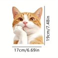 thumbnail image 3 of CEHVOM Car Stickers And Decals,Car Stickers Funny,Stickers For Cars,Cute Orange Stickers Car Stickers Window Stickers, 3 of 6