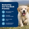 thumbnail image 4 of Blue Buffalo Life Protection Formula Puppy Dry Dog Food, Chicken & Brown Rice 4.5kg, 4 of 12