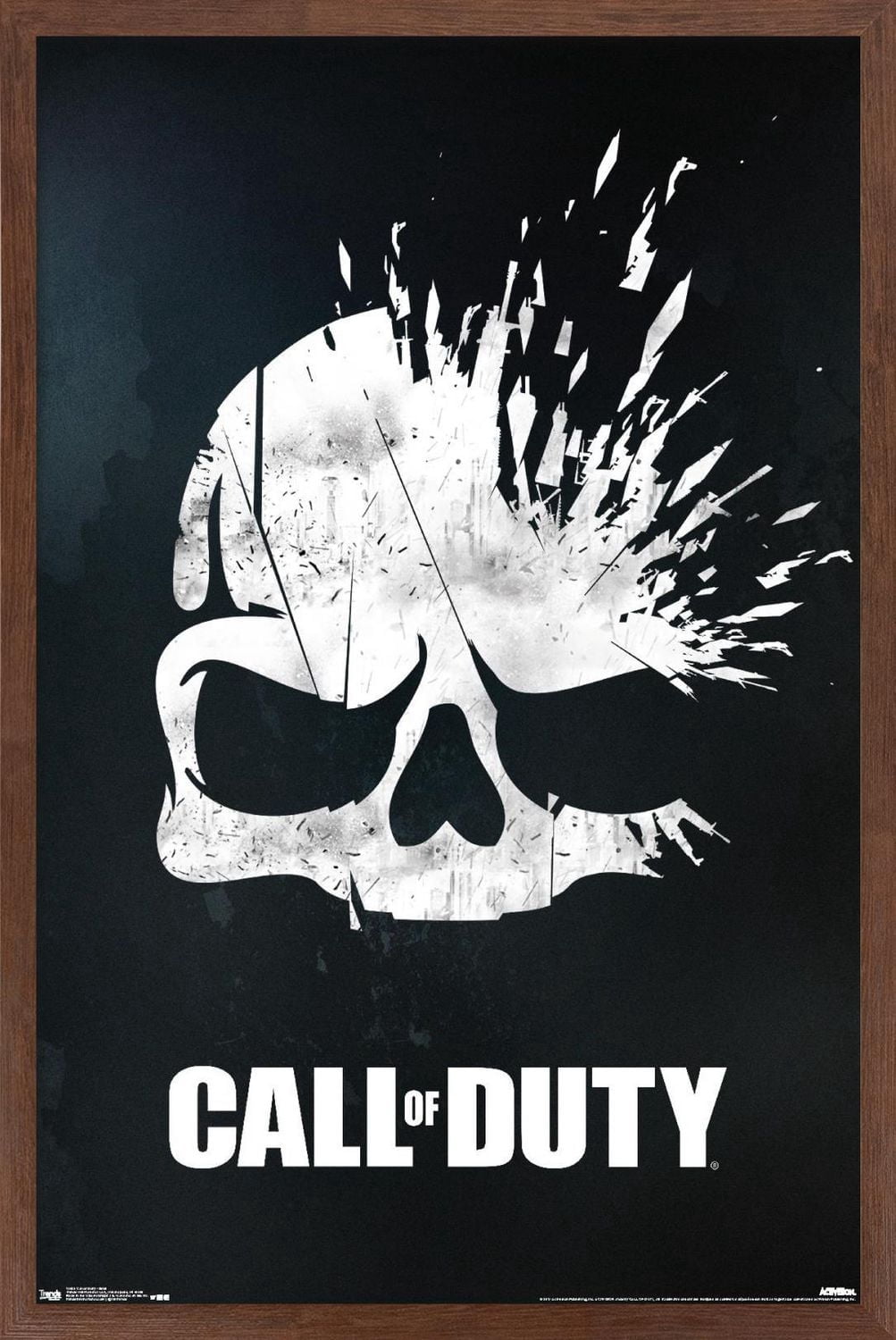 Call of Duty - Skull Wall Poster, 14.725" x 22.375"