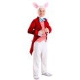thumbnail image 1 of Déguisement de Lapin Blanc Digne pour Enfants, 1 of 3