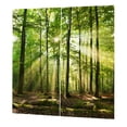 thumbnail image 1 of Domqga Rideau Occultant, Rideaux de Chambre, Rideaux Occultants à Imprimé Soleil de Forêt pour Balcon, Chambre, Salon, Fenêtre, 1 of 10