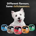 thumbnail image 3 of CESAR Classic Loaf in Sauce Wet Dog Food Beef Selects Variety, trays 24x100g, 3 of 8