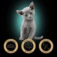 thumbnail image 3 of SHEBA PERFECT PORTIONS Kitten Wet Cat Food Soft Paté Tender Turkey Entrée, 3 of 8