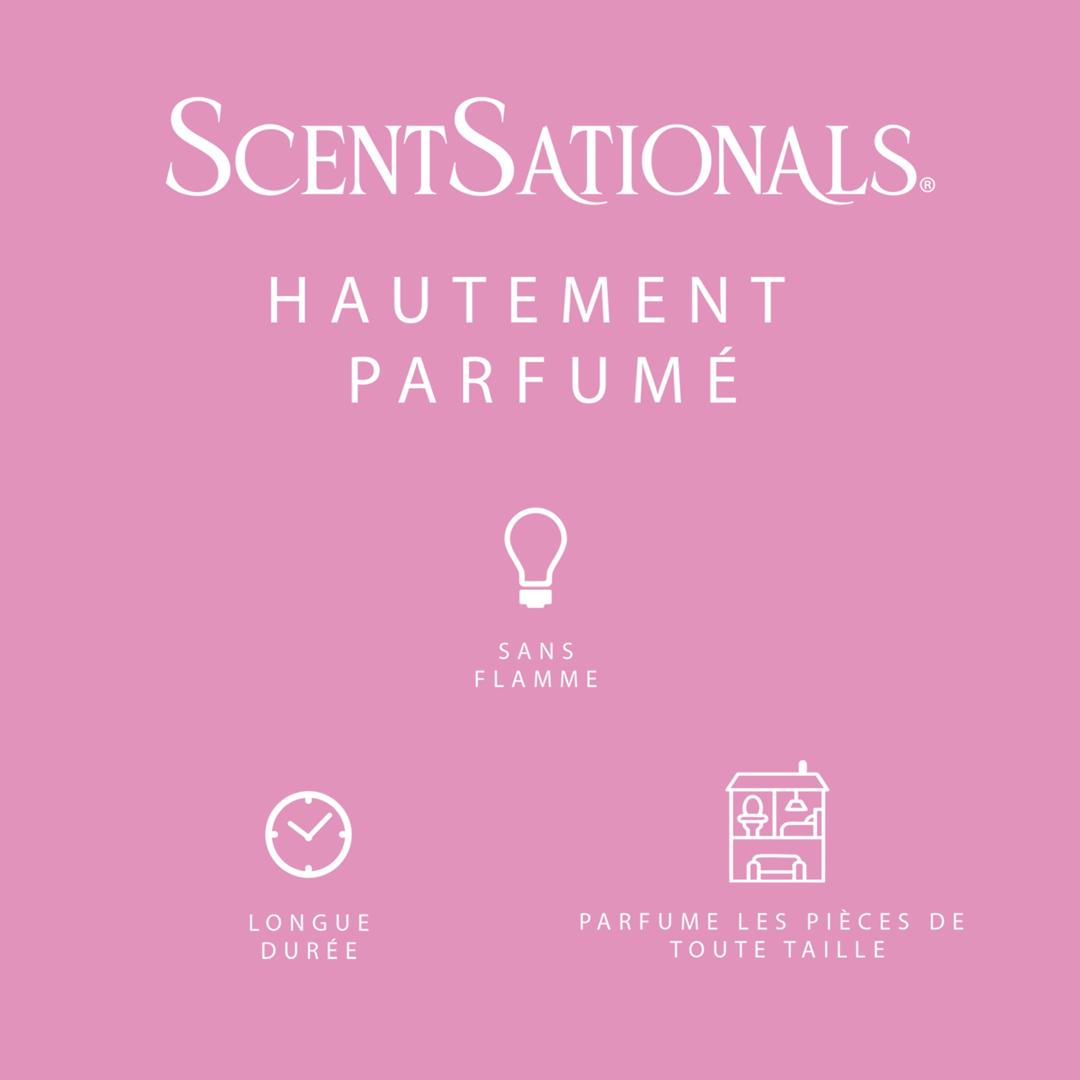 ScentSationals Scented Wax Cubes - Girlfriend Night