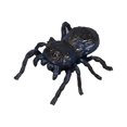 thumbnail image 1 of Drppepioner Fidget Juguete,Realistic Interactive Insect Juguete Collection for Educational Play Indoor Outdoor Use, 1 of 9