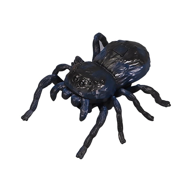 Drppepioner Fidget Juguete,Realistic Interactive Insect Juguete Collection for Educational Play Indoor Outdoor Use