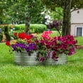 thumbnail image 2 of Sunnydaze Galvanized Steel 4-Leaf Clover-Shaped Raised Garden Bed - Silver, 2 of 9