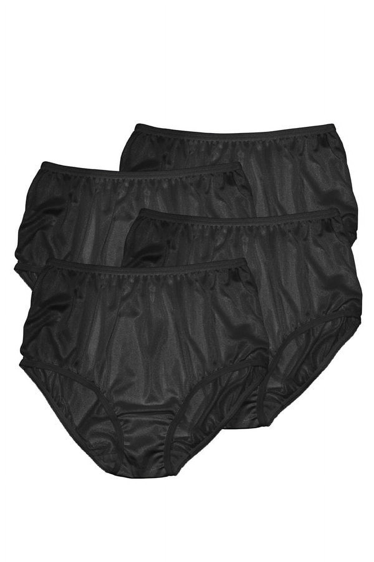 Teri Lingerie Plain Jane Full Cut Nylon Brief 4-Pack 331