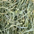 thumbnail image 2 of OxBow Alfalfa Hay Small Animal, 144oz / 9lb, 2 of 5