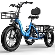 Electric Tricycle for Adults，1000W Peak Folding 20 Inch Fat Tire， Easy Step-Thru Frame， Removable Battery Dual Baskets with Cargo Seniors C16