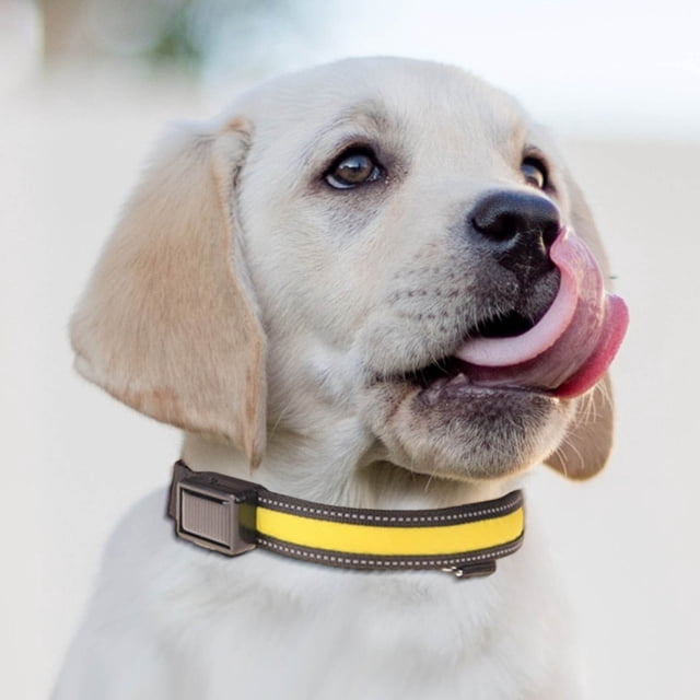 EGNMCR Pet Light Collar Light Leash USB Charging Solar Charging Duale Purpose Dog Light Collar Traction Colored collar