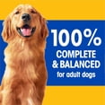 thumbnail image 3 of Pedigree Choice Cuts In Sauce Adult Wet Dog Food With Real Chicken, 3 of 6
