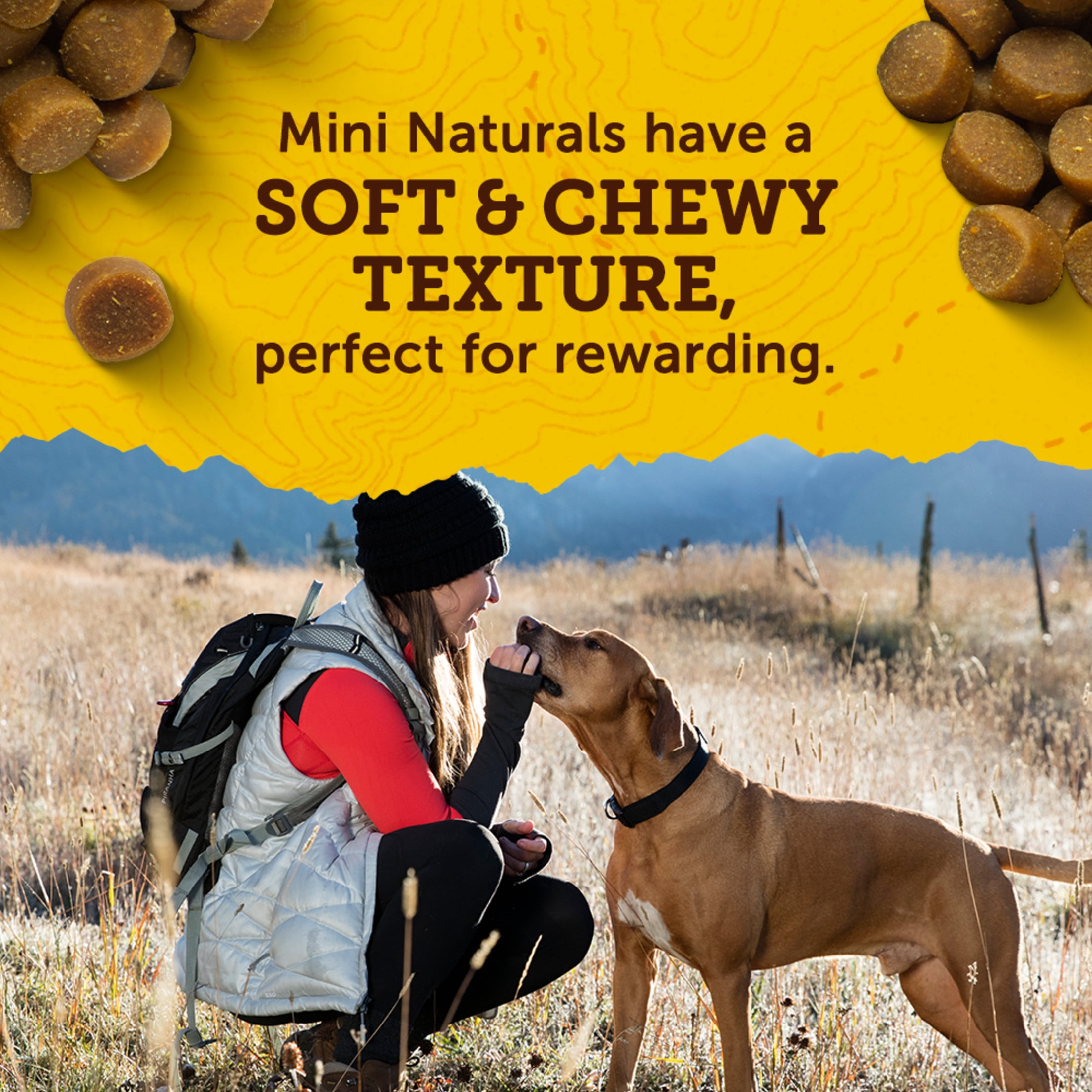 Zuke’s Mini Naturals Recette au Poulet, Gâteries pour Chiens