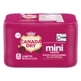 thumbnail image 3 of Canada Dry Cranberry Ginger Ale 222 mL Mini-Can 6 Pack, 3 of 5