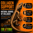 thumbnail image 4 of Exo Terra Aliments Spéciaux pour Reptiles, 34 G, 4 of 11
