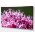 thumbnail image 2 of Pink Little Flowers Close up View, 2 of 3