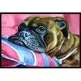 thumbnail image 1 of Carolines Treasures 7347JMAT Fawn Boxer Tapis Intérieur & Extérieur - 24 x 36 Po., 1 of 4