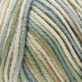 thumbnail image 2 of Red Heart® Fil Super Saver®, Imprimés, Acrylique #4 Médium, 5oz/142g, 236 Yards, 2 of 5