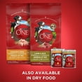 thumbnail image 2 of Purina ONE Classic Ground Chicken & Brown Rice Entrée, Wet Dog Food 368 g, 368 g, 2 of 3