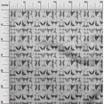 thumbnail image 3 of oneOone Rayon Light Gray Fabric Beach Wear Craft Projects Decor Fabric Printed By The Yard 56 Inch Wide, 3 of 4