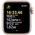 thumbnail image 2 of Apple Watch SE (GPS, 40mm) - Gold Aluminum Case with Starlight Sport Band, 2 of 4