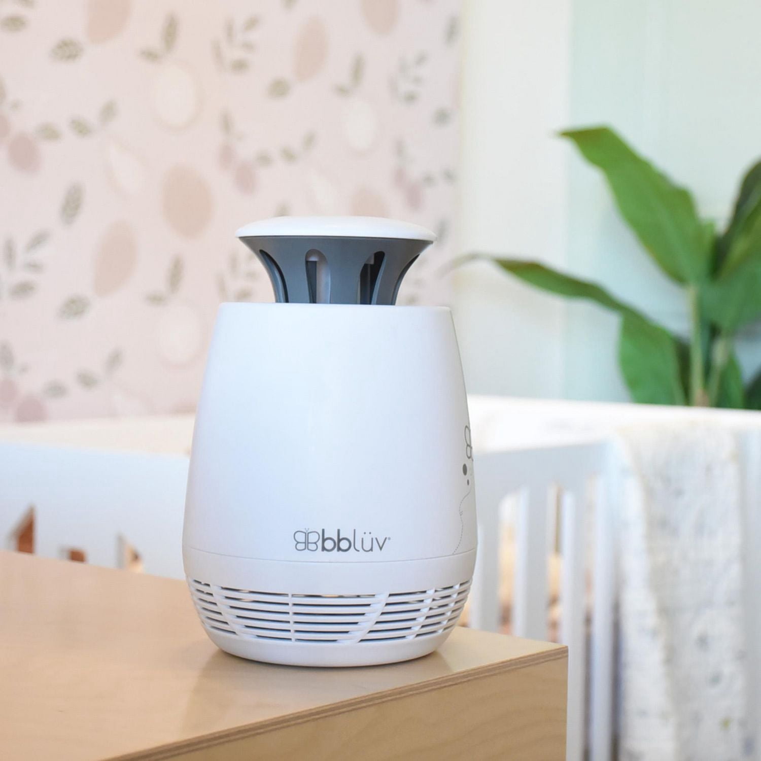 Moskitö: Lampe anti-moustiques électrique