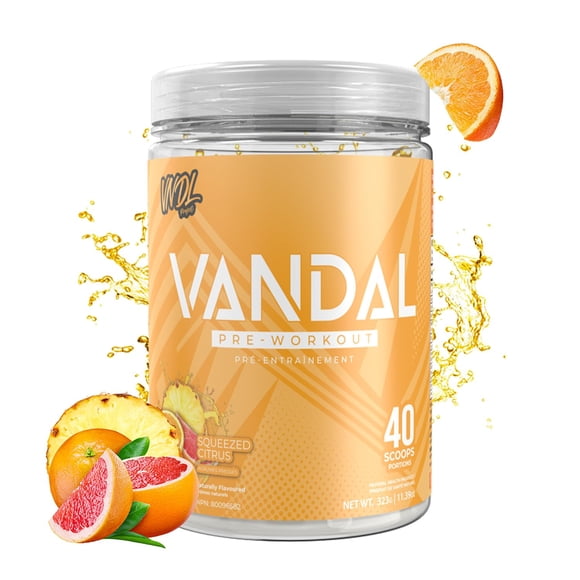 Vandal | Pre Workout Powder - Safe Nootropic Pre Workout Supplement for Men & Women | Boosts Energy, Focus, Performance & Recovery | Nitric Oxide Booster for Blood Flow | 40 Servings (Squeezed Citrus)
