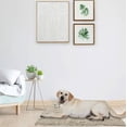 thumbnail image 3 of Tapis Vibrant Life Medium pour animaux de compagnie, 3 of 3