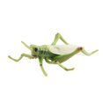 thumbnail image 1 of Décoration Modèle de Libellule Grenouille Écologique Insecte Coléoptère Statue Modèle Décoration de Bureau, 1 of 5