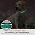thumbnail image 4 of MesaSe Reliable Glow-In-The-Dark Dog Collar  Comfortable  Adjustable  and Safe - Ensuring Visibility and Safety for Nighttime Walks of All Breeds and Sizes, 4 of 7