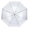 thumbnail image 1 of Clear Dome Stick Umbrella, 1 of 5