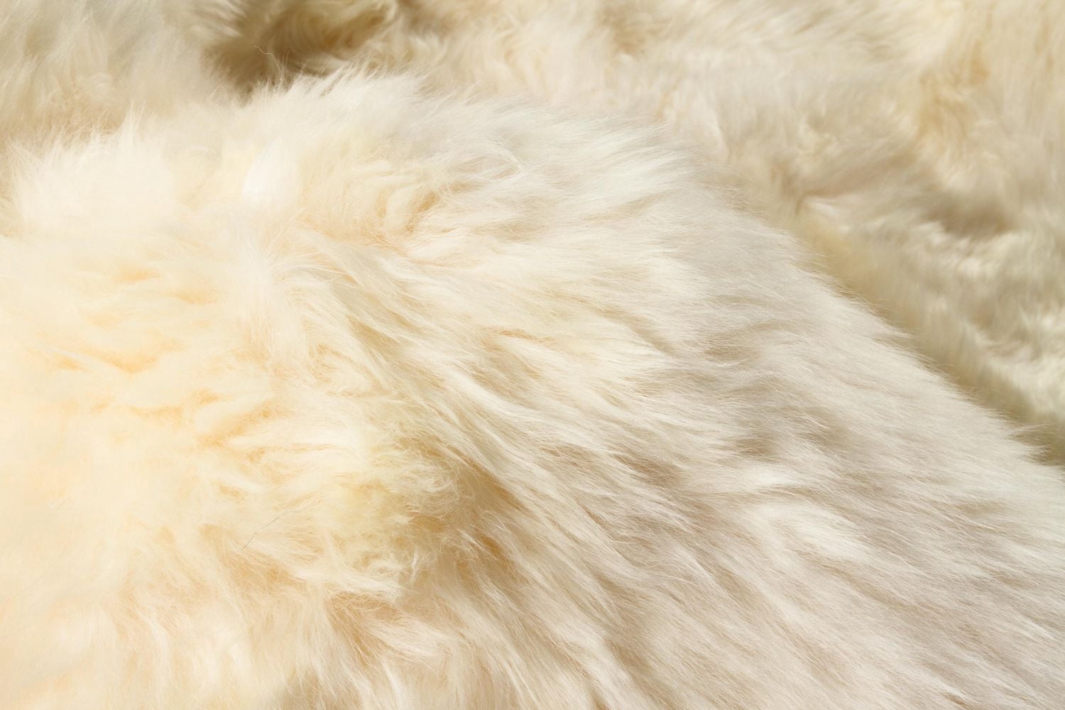 TAPIS SIX EN PEAU DE MOUTON NOUVELLE-ZÉLANDE 5'X 6'