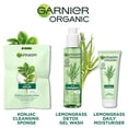 thumbnail image 2 of Garnier Éponge de Konjac Biologique - Version Européenne - Importée du Royaume-Uni par BOTIGA - Vendue en Lot de 2 - Expédiée Directement du Royaume-Uni, 2 of 3