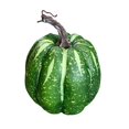 thumbnail image 1 of Citrouille en Mousse, Citrouille Artificielle, Citrouille Décorative de Récolte, Citrouille de Simulation Ronde Verte, 1 of 8
