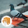 thumbnail image 2 of Miangastore 3pcs Bird Cage Door Entrance Door European Style Pigeon Racing Door Pigeon Cage Part, 2 of 8
