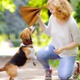 thumbnail image 3 of High Toughness Leather Training Rag for Large Dogs - Interactive Tug of War Game to Enhance Puppy Prey Drive and Grip, 3 of 4